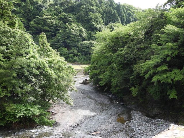 青川峡キャンピングパーク