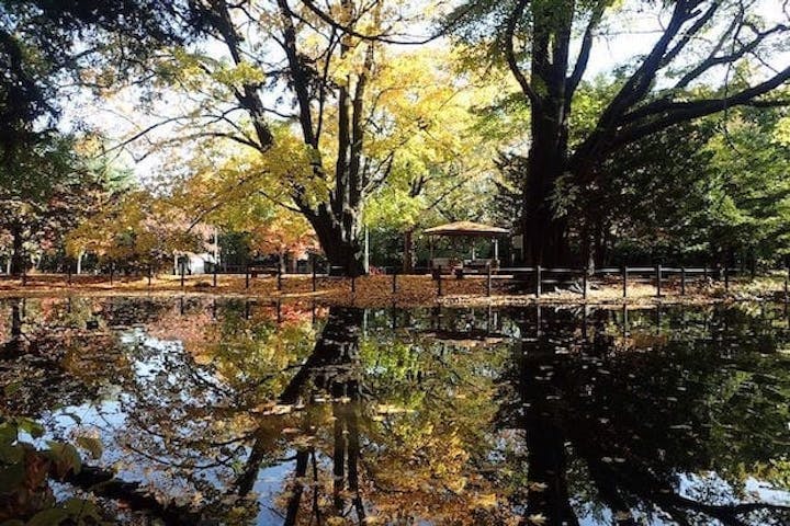 【2022年】円山公園の紅葉