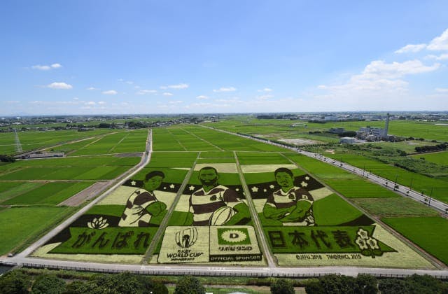 スポットの写真