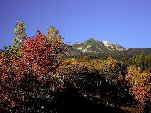 【2022年】乗鞍高原の紅葉