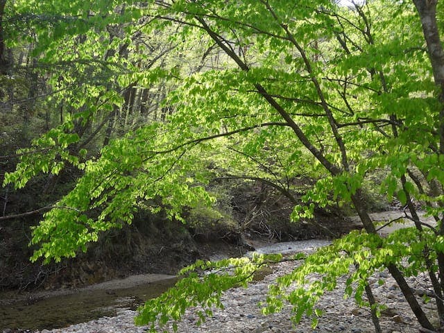 不動尊公園キャンプ場