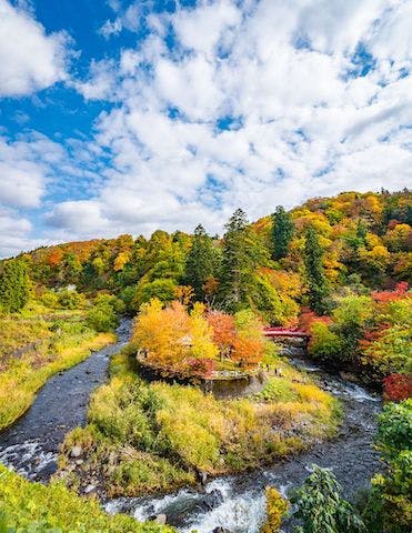 【2022年】中野もみじ山の紅葉