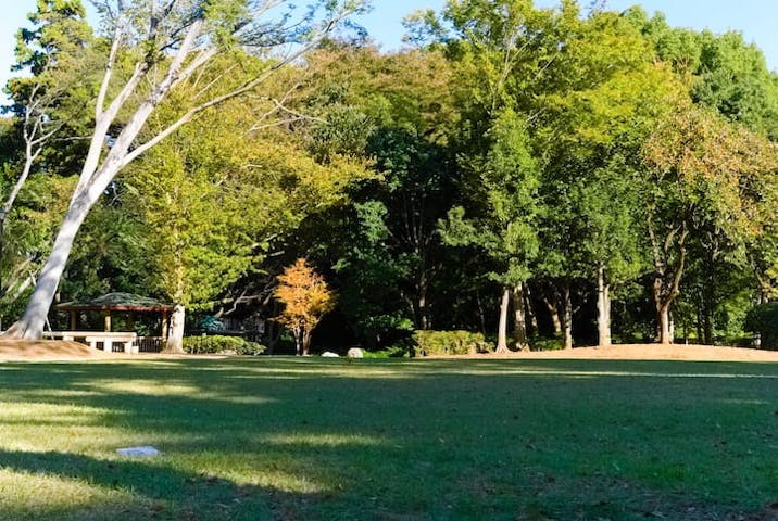 流山市総合運動公園