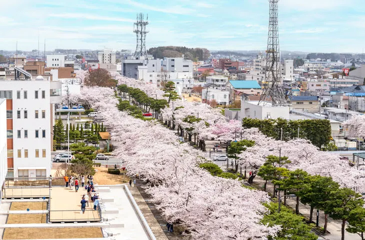 スポットの写真