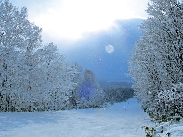 ぴっぷスキー場
