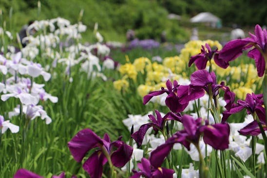 スポットの写真