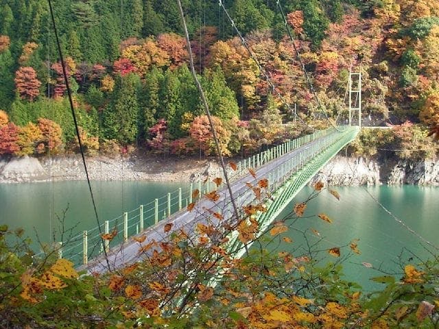 【2022年】井川湖の紅葉