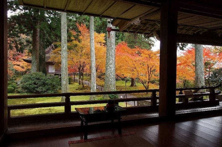 【2022年】大原（三千院）の紅葉