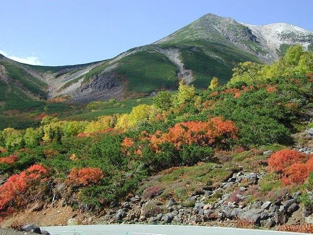 【2022年】乗鞍岳の紅葉