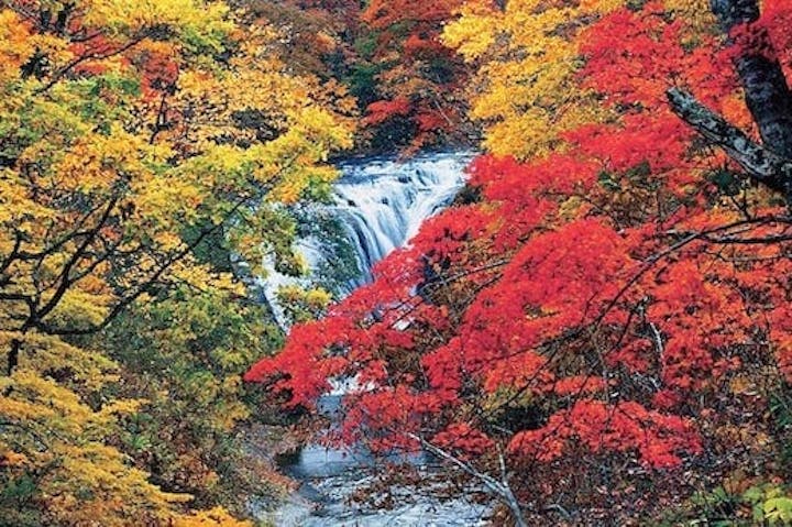 【2022年】恵庭渓谷の紅葉