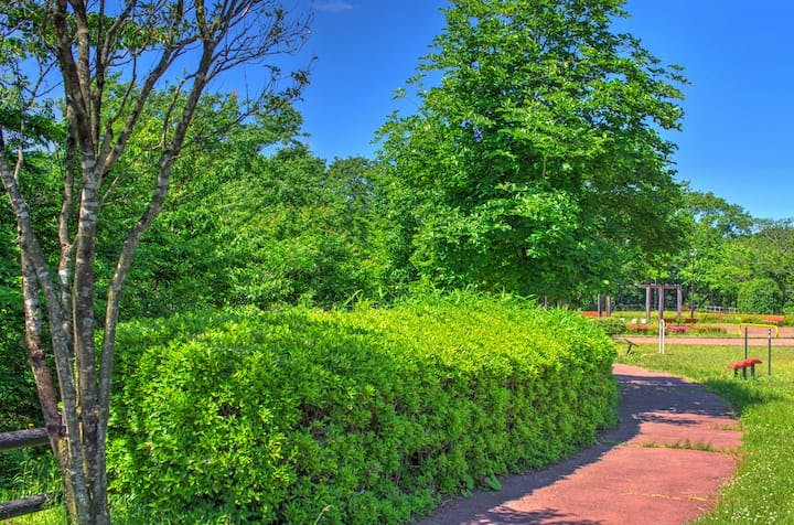 海の見える丘公園