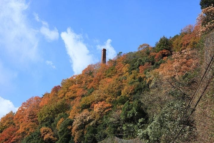 【2022年】別子ラインの紅葉