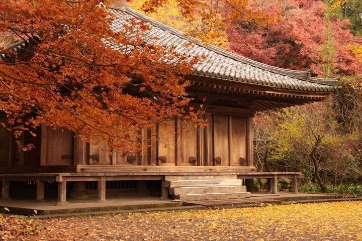【2022年】富貴寺の紅葉