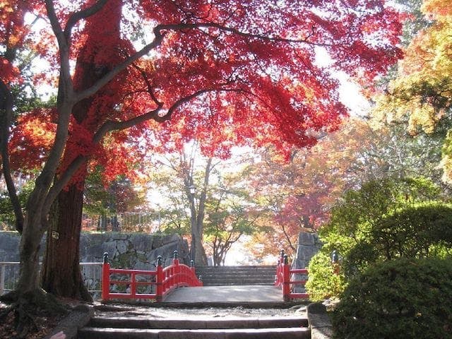 【2022年】盛岡城跡公園（岩手公園）の紅葉