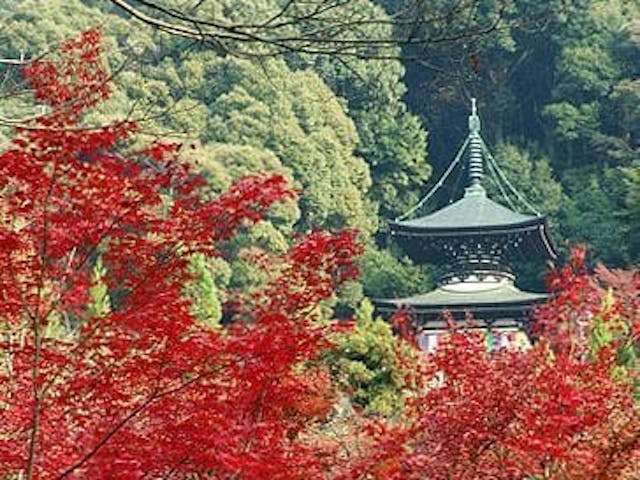 【2022年】永観堂　禅林寺の紅葉
