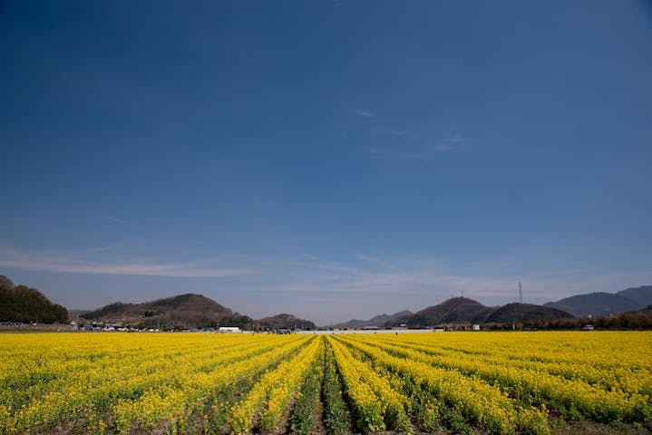 道の駅　笠岡ベイファーム