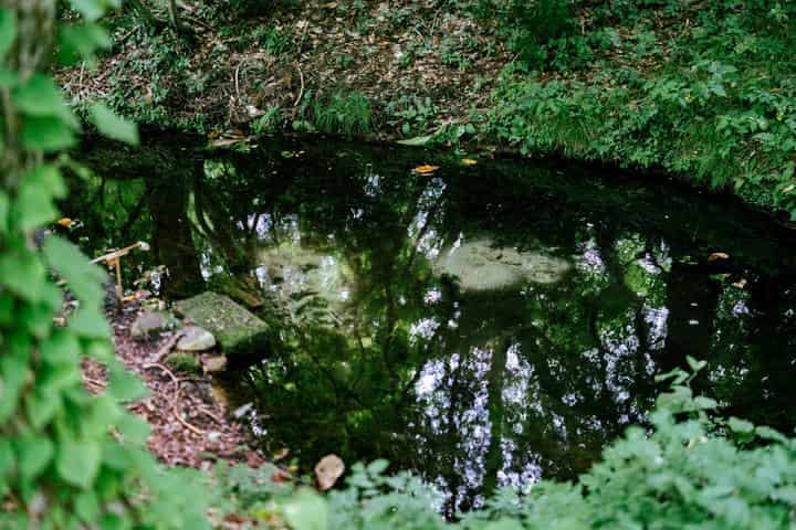 スポットの写真