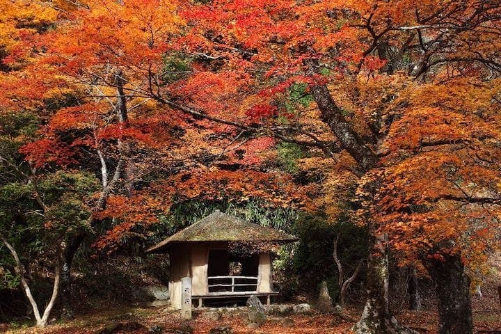 【2022年】吉野山の紅葉