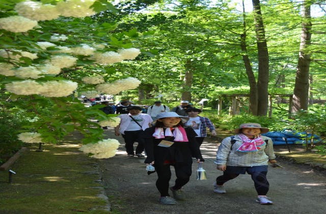 スポットの写真