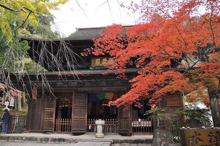 【2022年】定光寺・定光寺公園の紅葉