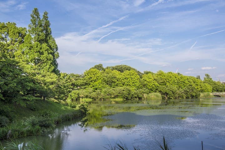 杁ヶ池公園