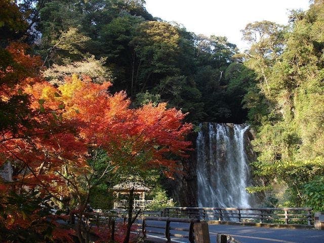 【2022年】霧島（霧島温泉郷）の紅葉