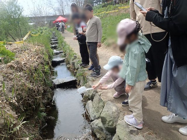 サケ稚魚体験放流