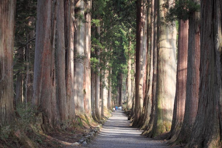 戸隠神社奥社（登山口）
