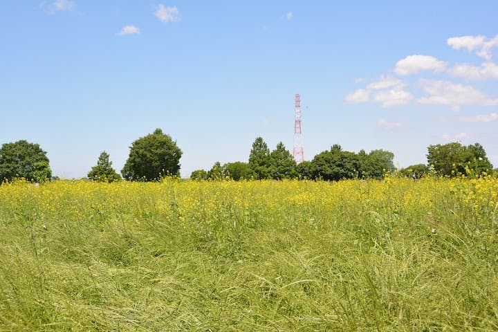吉見総合運動公園