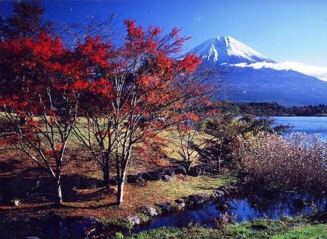 【2022年】田貫湖周辺の紅葉