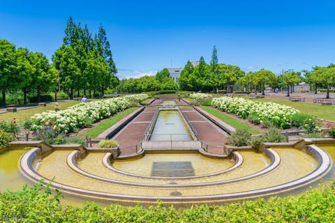 スポットの写真