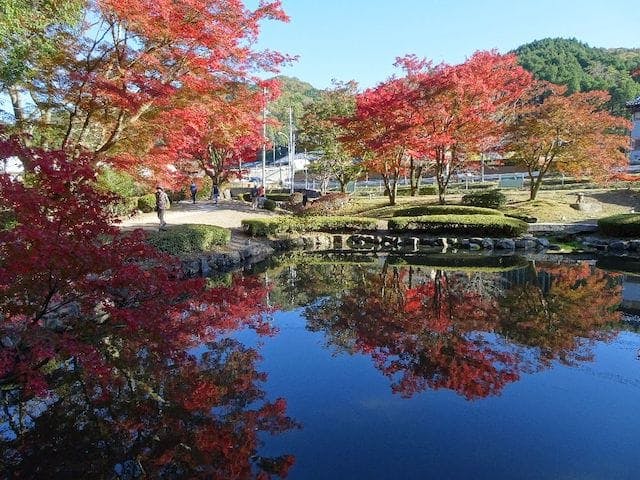 【2022年】曽木公園の紅葉