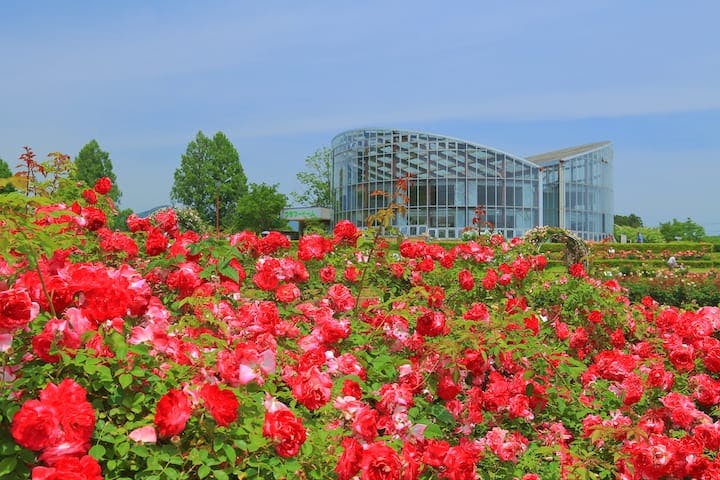 茨城県フラワーパーク
