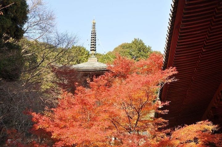 【2022年】高雄（神護寺）の紅葉
