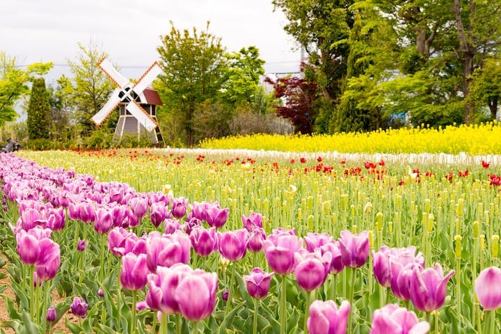 ハーブ庭園旅日記