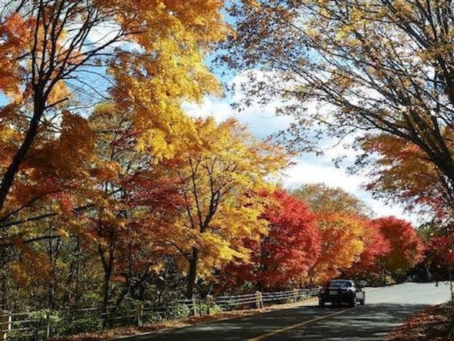 【2022年】日塩もみじラインの紅葉