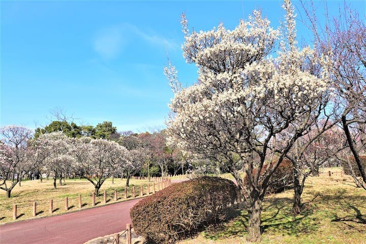 荒山公園