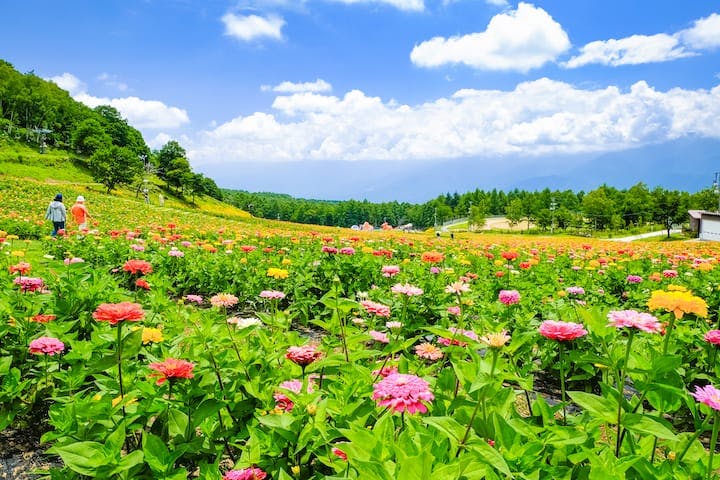 富士見高原リゾート