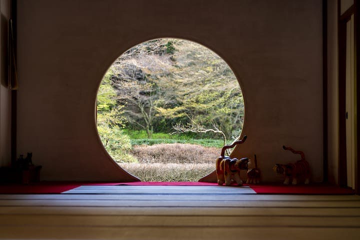 明月院（あじさい寺）