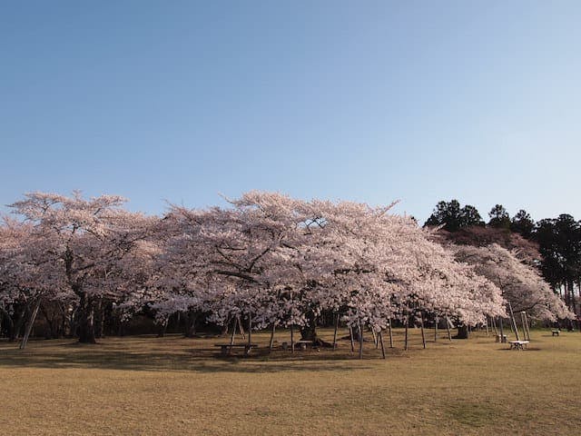 三神峯公園