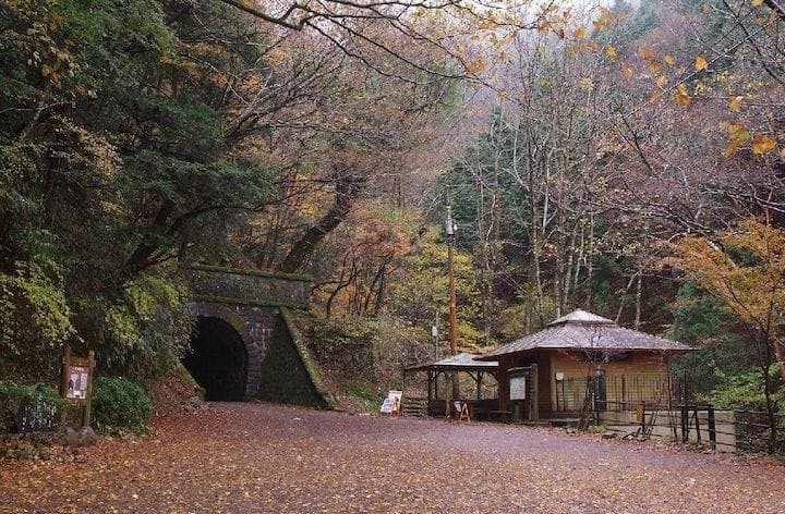 【2022年】旧天城トンネルの紅葉