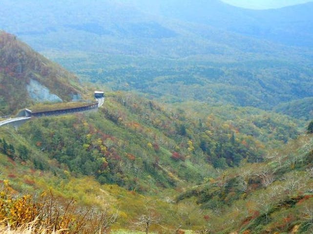 【2022年】登別（オロフレ峠）の紅葉
