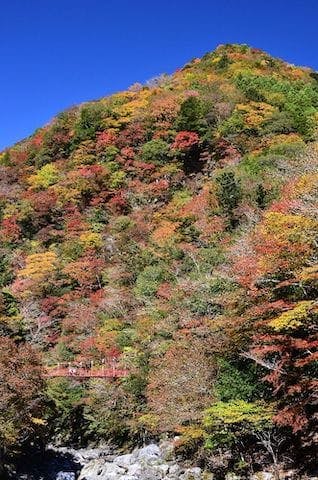 【2022年】べふ峡の紅葉