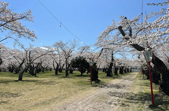 スポットの写真