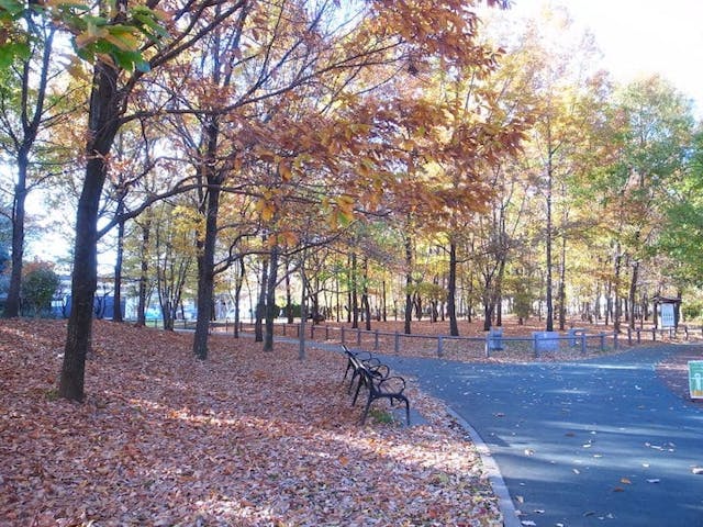 西東京いこいの森公園