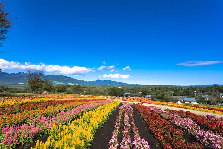 那須フラワーワールド