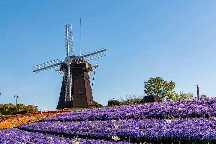 鶴見緑地公園（※スケートボードの使用は市から禁止もしくは推奨されておりません）