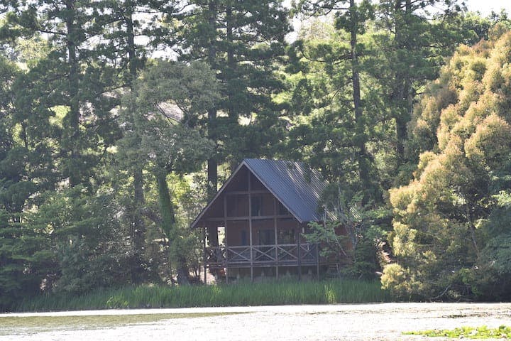 池の山キャンプ場
