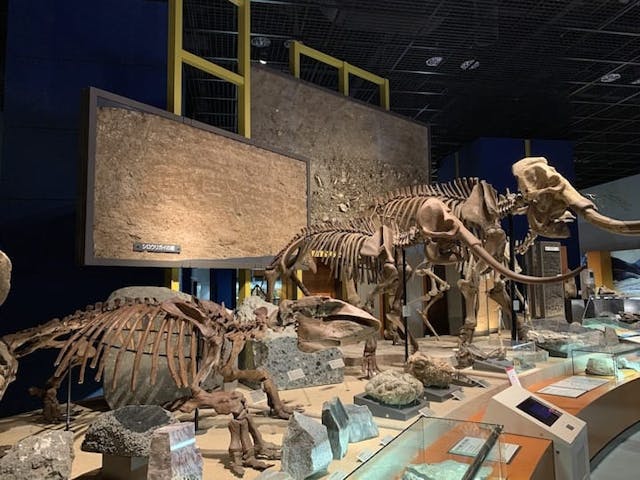 神奈川県立生命の星・地球博物館