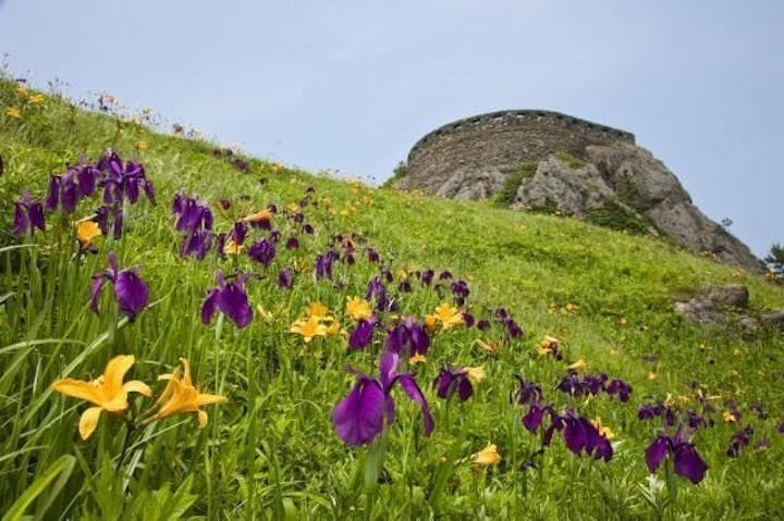 【2023年初日の出】八戸市　葦毛崎展望台